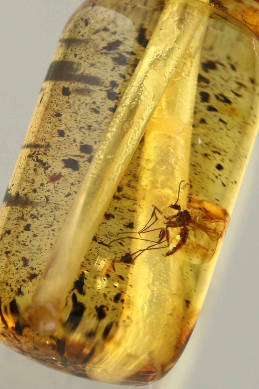 GNAT Fossil Insect BALTIC AMBER Islamic Prayer Imam Minaret TASBIH 2.2g 260709-3