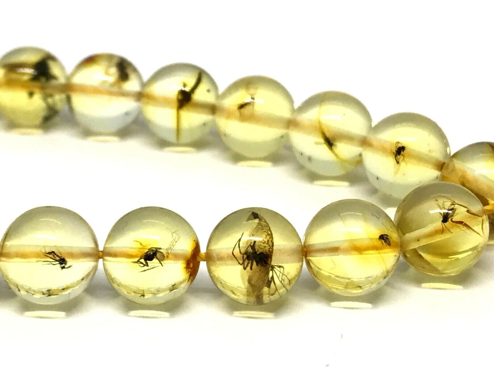 Islamic 33 Prayer Beads INSECT EVERY BEAD Round Baltic Amber Tasbih 11,6g 15302