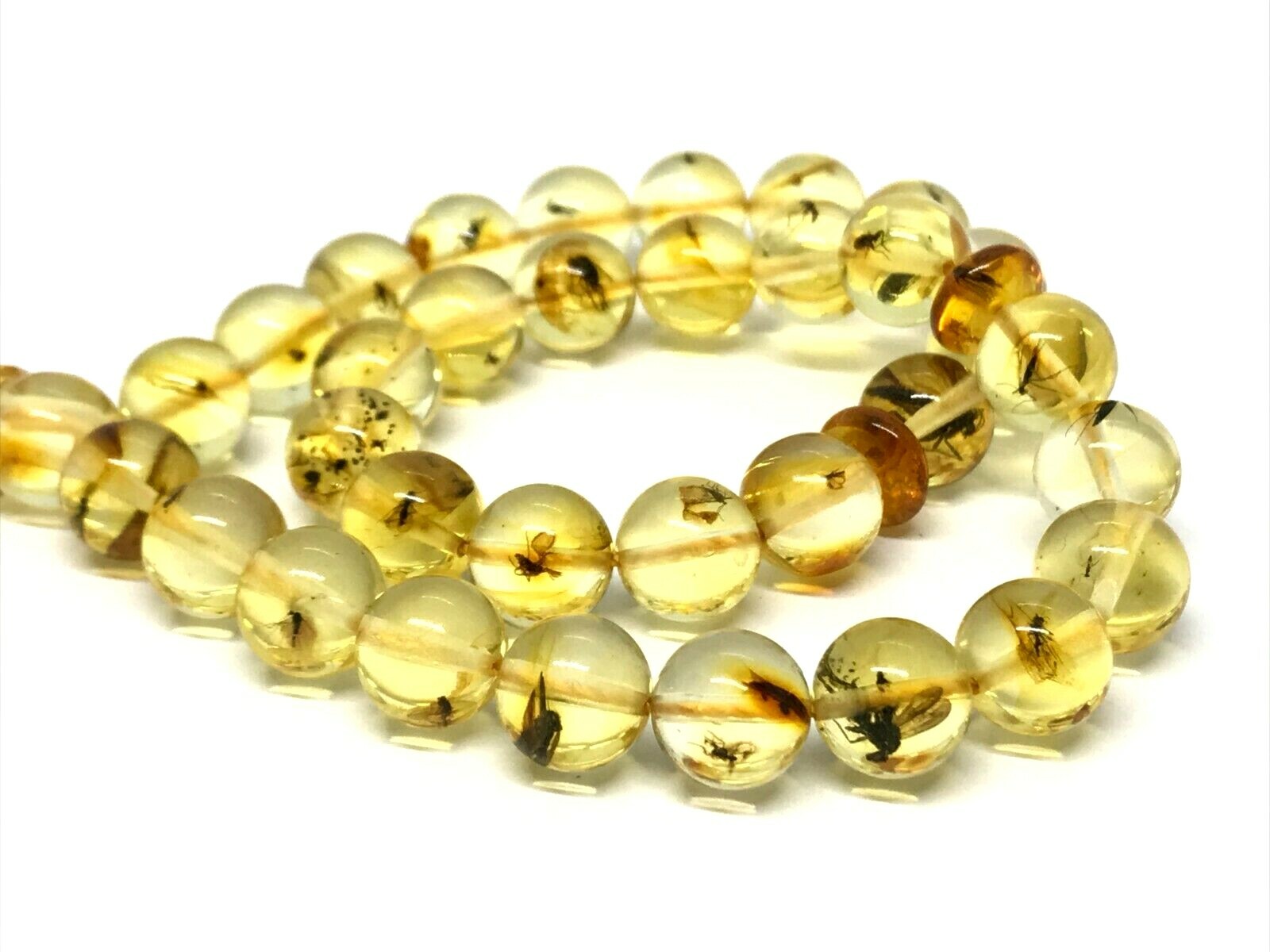 Islamic 33 Prayer Beads INSECT EVERY BEAD Round Baltic Amber Tasbih 11,6g 15302