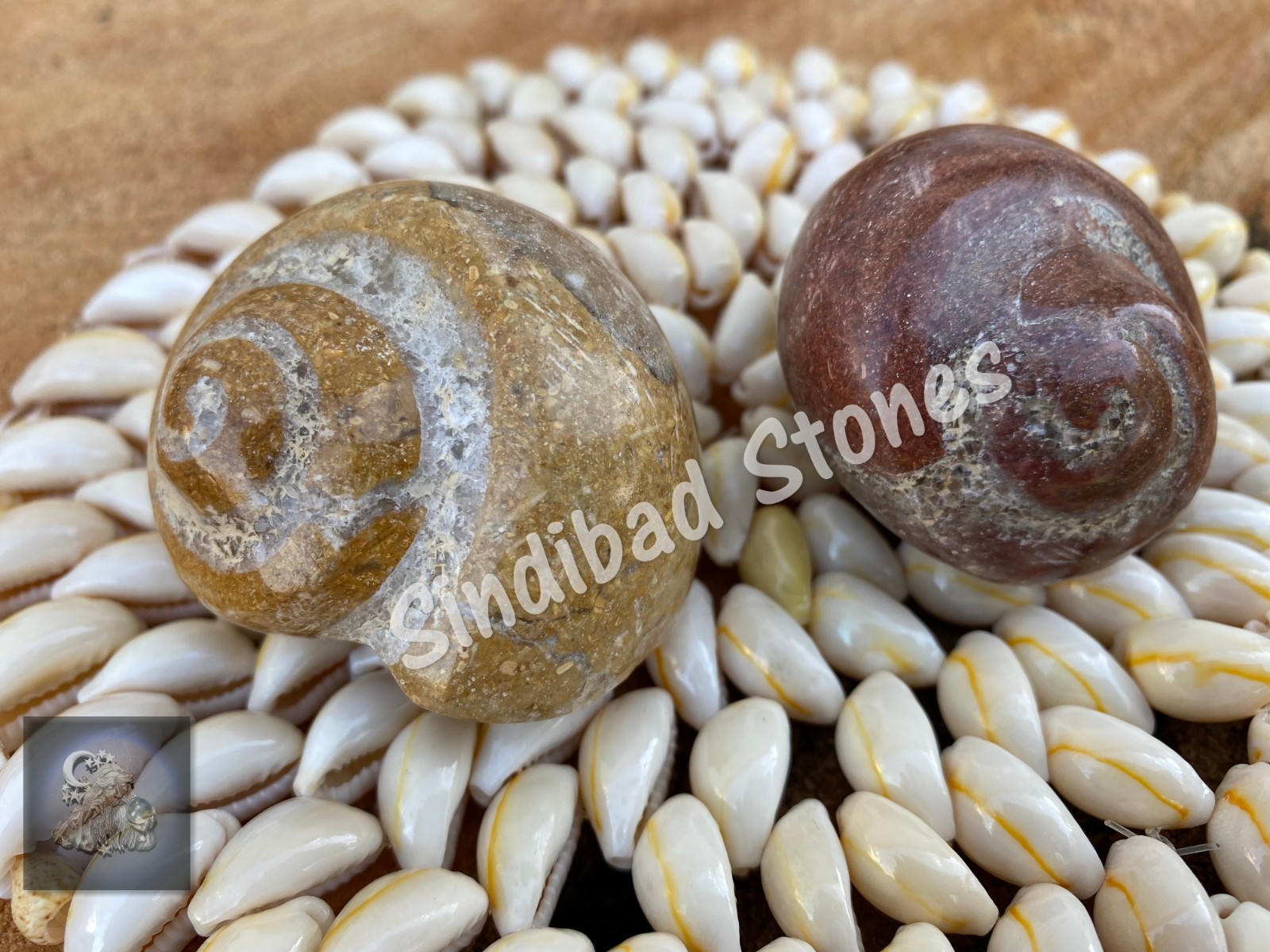 Al Atf Stone, Big Atf – عطف نادر- حجر عطف كبير الحجم رباني – حجر عطف بحري