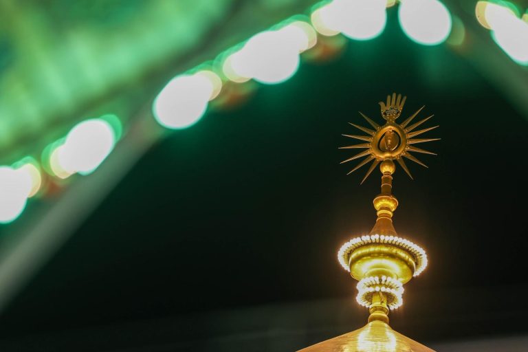 جنگ احزاب میں مسلمانوں کو دشمن سے بچانے والا