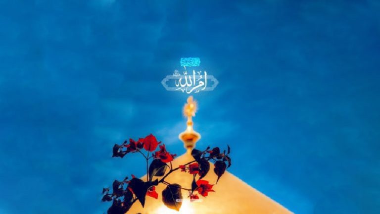 امیرالمؤمنین علیہ‌السلام صراط مستقیم ہیں