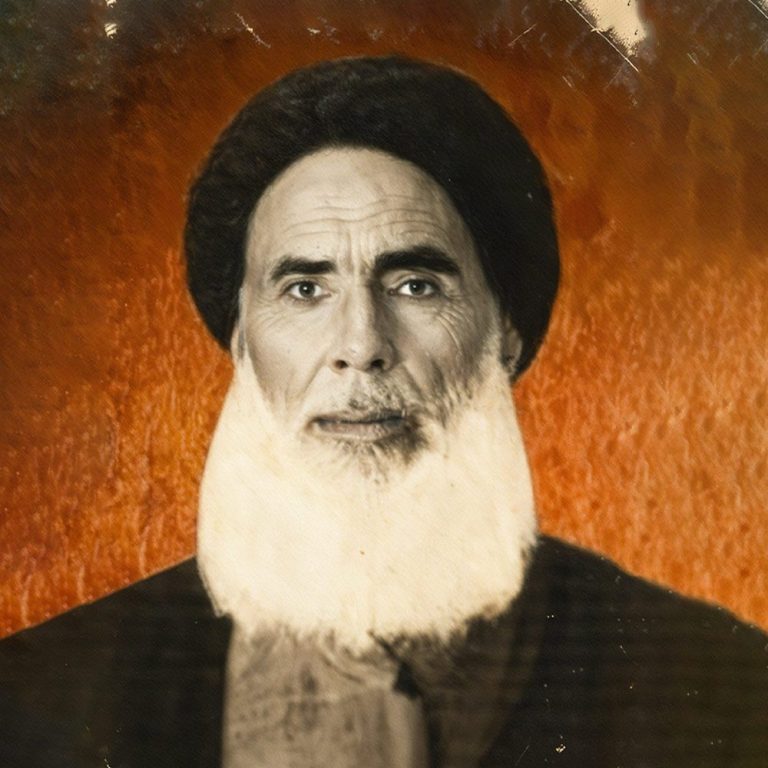 عالمِ مجاہد آیت‌الله سید عبدالحسین شرف‌الدین عاملی (طاب سرہ)