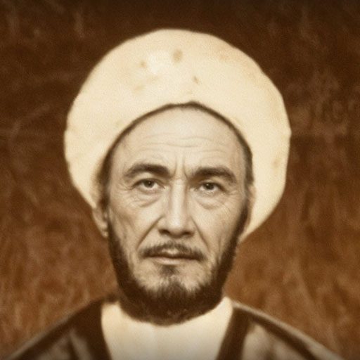 آیت اللہ شیخ محمدعلی انصاری مالستانی (طاب ثرہ)