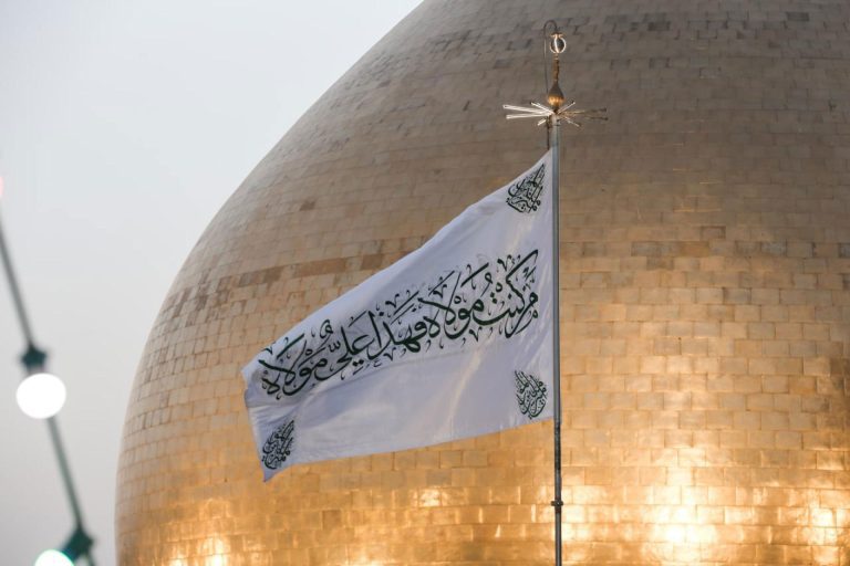 allama-mir-hamid-hussains-research