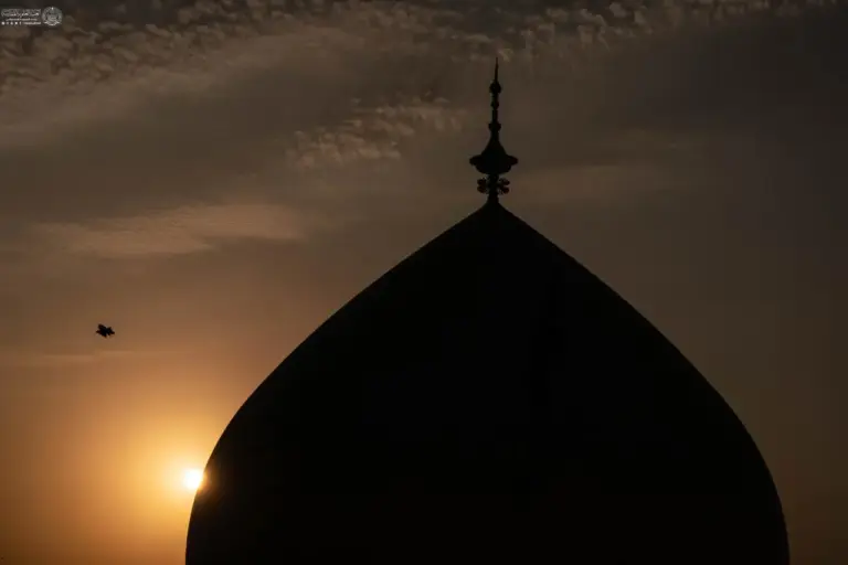 noor8
