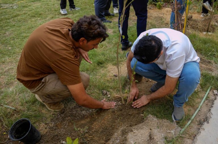 planting3